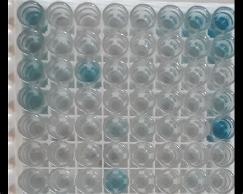 elisa not working|elisa standard curve troubleshooting.